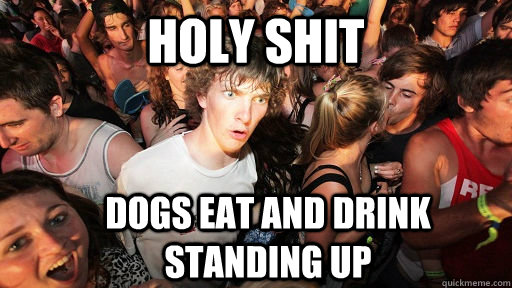 holy shit dogs eat and drink standing up  Sudden Clarity Clarence