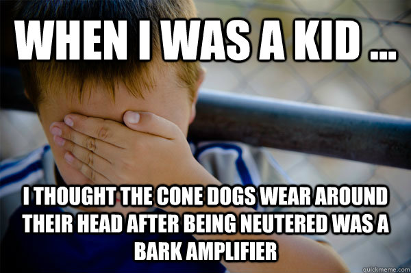 WHEN I WAS A KID ... I Thought the cone dogs wear around their head after being neutered was a bark amplifier - WHEN I WAS A KID ... I Thought the cone dogs wear around their head after being neutered was a bark amplifier  when i was a kid