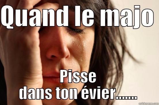QUAND LE MAJO  PISSE DANS TON ÉVIER....... First World Problems
