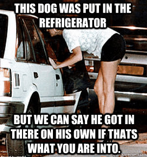 This dog was put in the refrigerator  But we can say he got in there on his own if thats what you are into.  Karma Whore