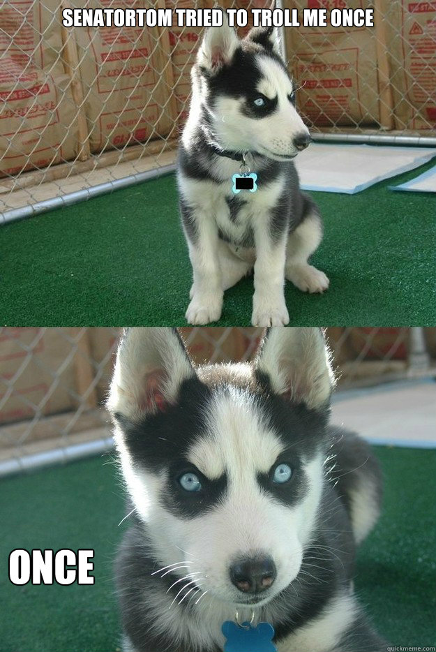 senatortom tried to troll me once once  Insanity puppy