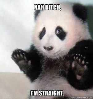 Nah bitch, I'm straight.  Badass Panda