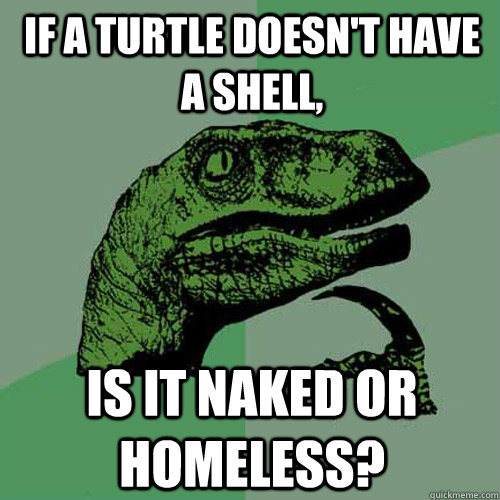 If a turtle doesn't have a shell, is it naked or homeless?  Philosoraptor