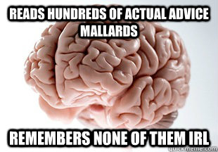 Reads hundreds of Actual Advice Mallards  Remembers none of them IRL - Reads hundreds of Actual Advice Mallards  Remembers none of them IRL  Scumbag Brain Strikes Again!