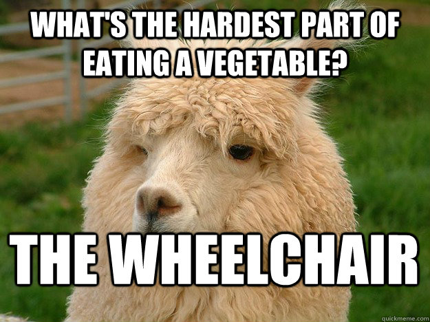 what's the hardest part of eating a vegetable? The wheelchair - what's the hardest part of eating a vegetable? The wheelchair  Tasteless Alpaca