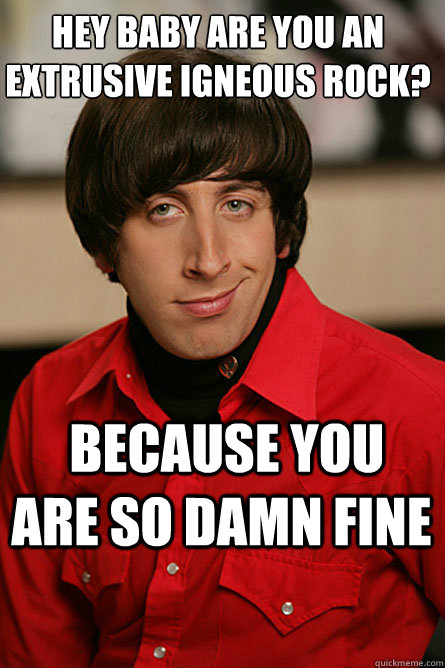 Hey baby are you an extrusive igneous rock?  Because you are so damn fine  Pickup Line Scientist