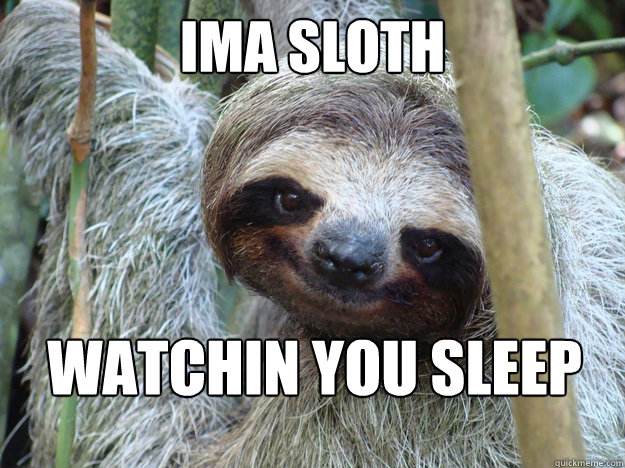 Ima Sloth  Watchin You Sleep  