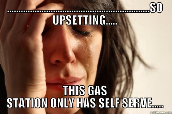 ..............................................................SO UPSETTING..... THIS GAS STATION ONLY HAS SELF SERVE..... First World Problems