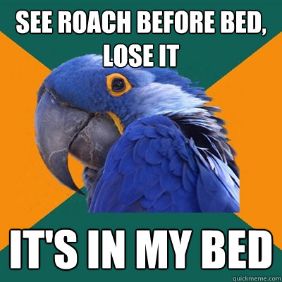 See roach before bed, lose it It's in my bed  Paranoid Parrot