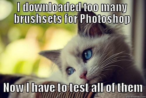 I DOWNLOADED TOO MANY BRUSHSETS FOR PHOTOSHOP   NOW I HAVE TO TEST ALL OF THEM First World Problems Cat