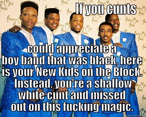                               IF YOU CUNTS COULD APPRECIATE A BOY BAND THAT WAS BLACK, HERE IS YOUR NEW KIDS ON THE BLOCK.  INSTEAD, YOU'RE A SHALLOW WHITE CUNT AND MISSED OUT ON THIS FUCKING MAGIC. Misc
