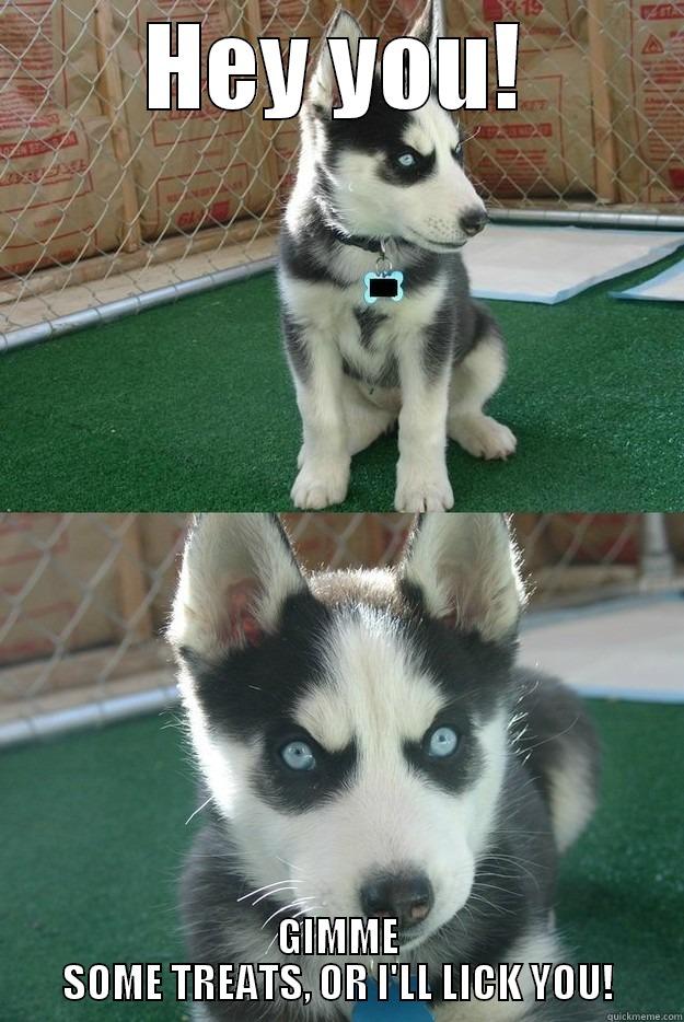 HEY YOU! GIMME SOME TREATS, OR I'LL LICK YOU! Insanity puppy