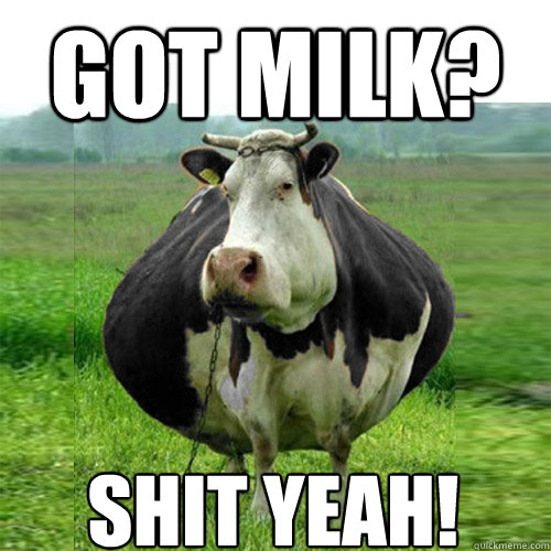 GOT MILK? SHIT YEAH! - GOT MILK? SHIT YEAH!  Shit my cow says