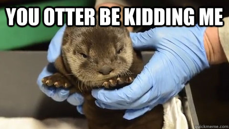 you otter be kidding me   - you otter be kidding me    Misc