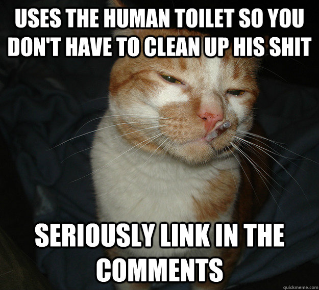Uses the human toilet so you don't have to clean up his shit Seriously link in the comments  Cool Cat Craig