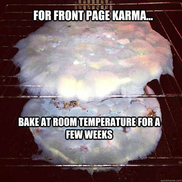 For front page karma... bake at room temperature for a few weeks  disgusting pizza