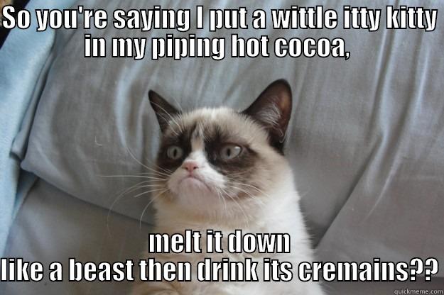 SO YOU'RE SAYING I PUT A WITTLE ITTY KITTY IN MY PIPING HOT COCOA,  MELT IT DOWN LIKE A BEAST THEN DRINK ITS CREMAINS?? Grumpy Cat
