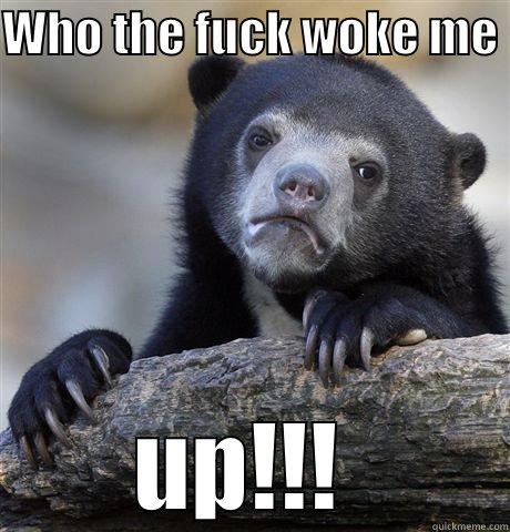 WHO THE FUCK WOKE ME  UP!!!  Confession Bear