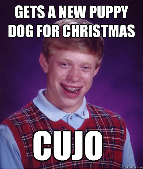 gets a new puppy dog for christmas cujo - gets a new puppy dog for christmas cujo  Bad Luck Brian