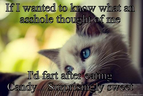 IF I WANTED TO KNOW WHAT AN ASSHOLE THOUGHT OF ME I'D FART AFTER EATING CANDY... SURPRISINGLY SWEET First World Problems Cat