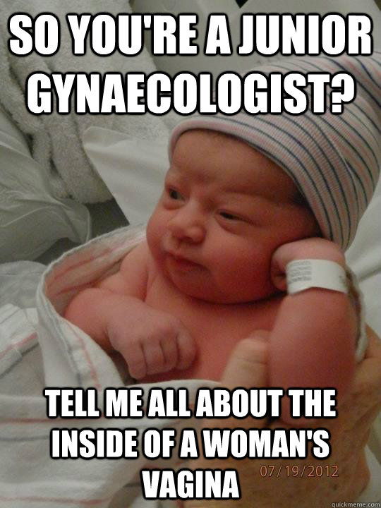 So you're a junior gynaecologist? Tell me all about the inside of a woman's vagina  