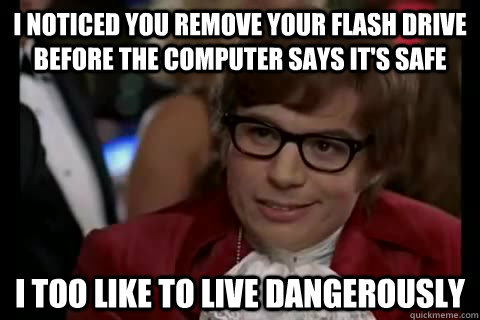 I noticed you remove your flash drive before the computer says it's safe i too like to live dangerously  Dangerously - Austin Powers