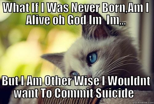 WHAT IF I WAS NEVER BORN,AM I ALIVE OH GOD IM  IM,,, BUT I AM OTHER WISE I WOULDNT WANT TO COMMIT SUICIDE   First World Problems Cat