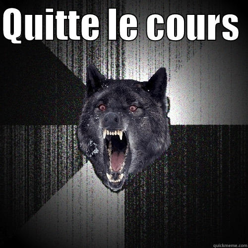 QUITTE LE COURS   Insanity Wolf