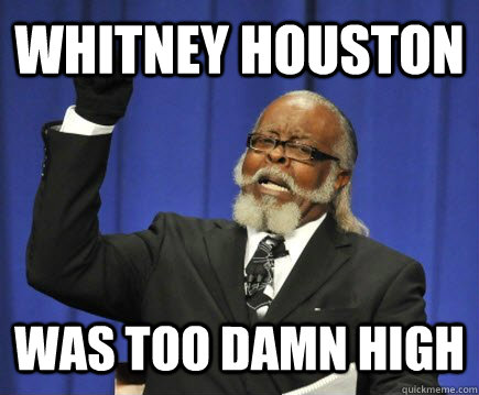 WHITNEY HOUSTON WAS TOO DAMN HIGH  Too Damn High