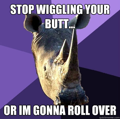 Stop wiggling your butt... Or im gonna roll over  Sexually Oblivious Rhino