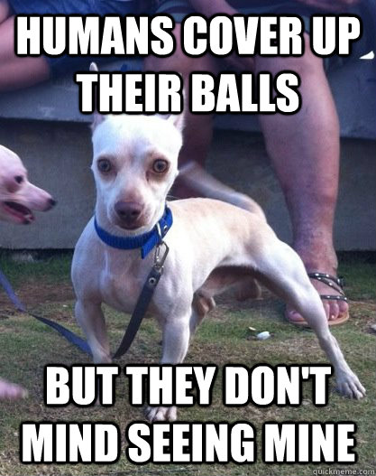HUMANS COVER UP THEIR BALLS BUT THEY DON'T MIND SEEING MINE  