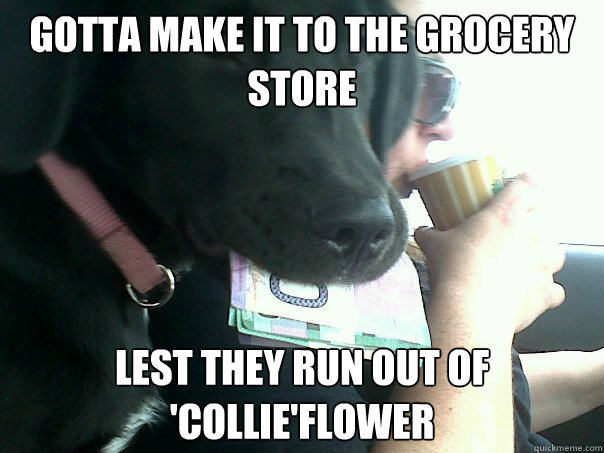 Gotta make it to the grocery store lest they run out of 'collie'flower - Gotta make it to the grocery store lest they run out of 'collie'flower  Middle class dog who likes puns