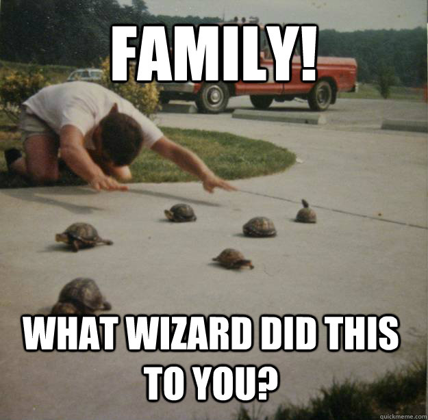 FAMILY! WHAT WIZARD DID THIS TO YOU?  Turtles
