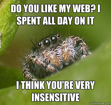 do you like my web? i spent all day on it i think you're very insensitive - do you like my web? i spent all day on it i think you're very insensitive  Misunderstood Spider