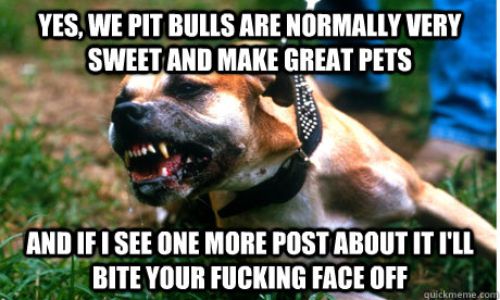 YES, WE PIT BULLS ARE NORMALLY VERY SWEET AND MAKE GREAT PETS AND IF I SEE ONE MORE POST ABOUT IT I'LL BITE YOUR FUCKING FACE OFF  