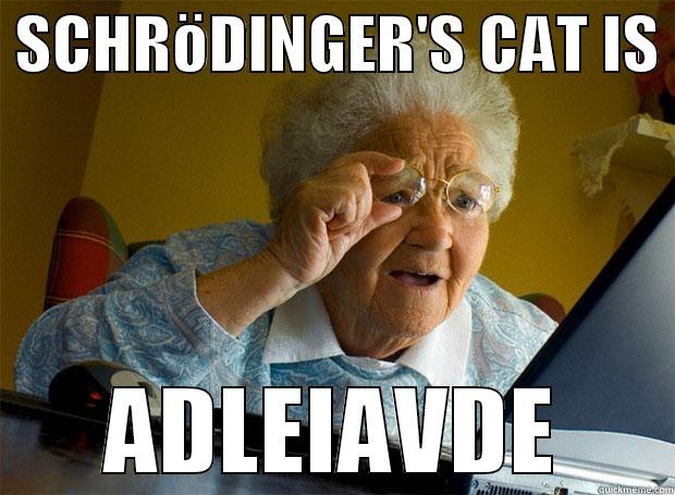  SCHRÖDINGER'S CAT IS  ADLEIAVDE Grandma finds the Internet