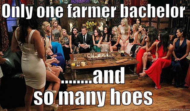 ONLY ONE FARMER BACHELOR  ........AND SO MANY HOES Misc