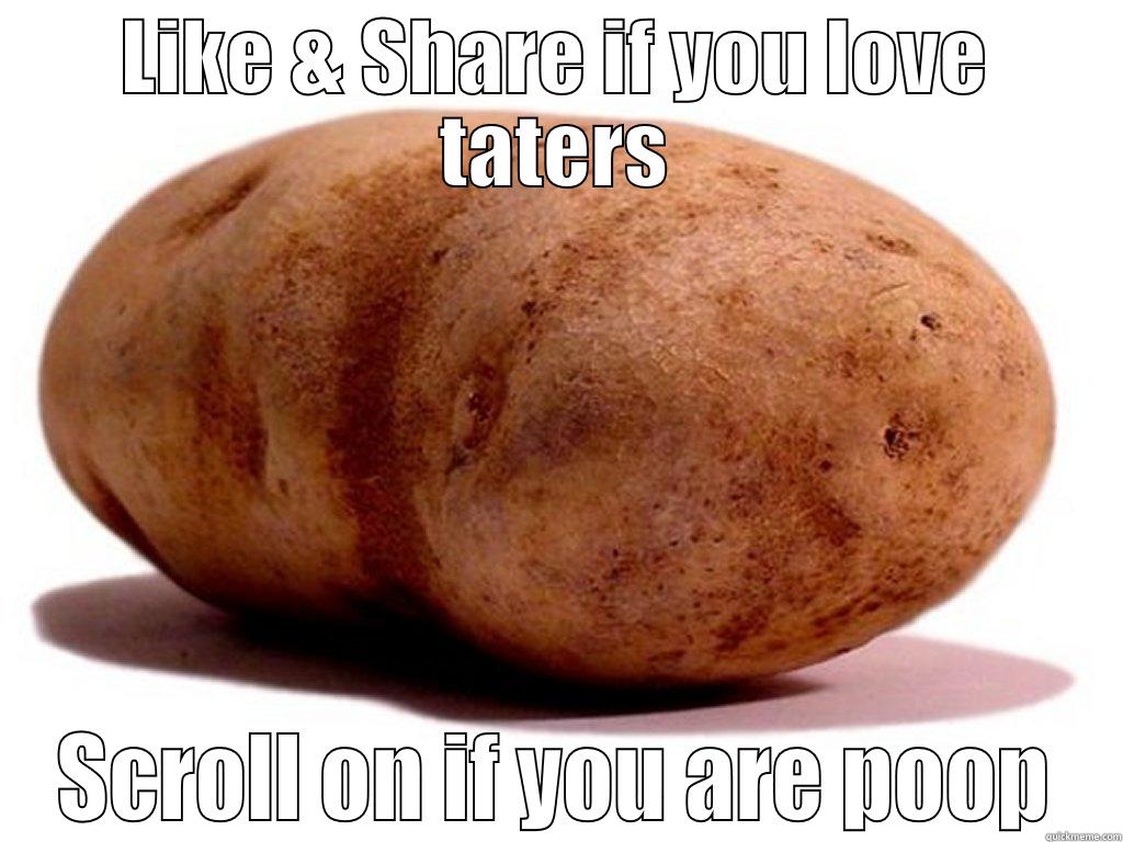 LIKE & SHARE IF YOU LOVE TATERS SCROLL ON IF YOU ARE POOP Misc