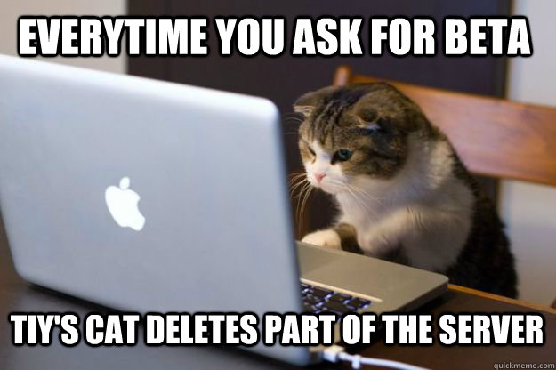 Everytime you ask for beta Tiy's cat deletes part of the server  