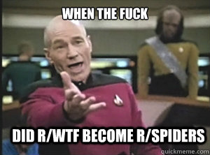 when the fuck did r/wtf become r/spiders - when the fuck did r/wtf become r/spiders  Annoyed Picard