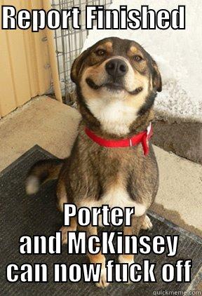 REPORT FINISHED    PORTER AND MCKINSEY CAN NOW FUCK OFF Good Dog Greg