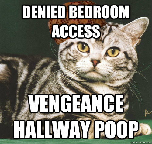 Denied bedroom access Vengeance hallway poop  