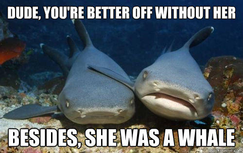 Dude, you're better off without her Besides, she was a whale  Compassionate Shark Friend