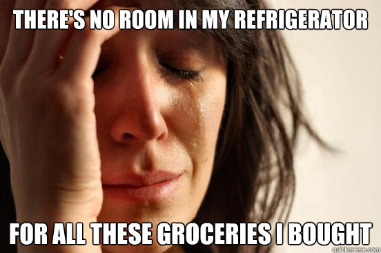 There's no room in my refrigerator  for all these groceries i bought  First World Problems