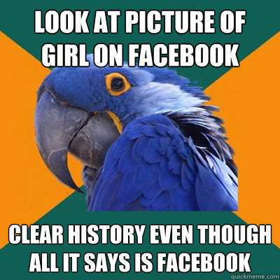 Look at picture of girl on Facebook Clear history even though all it says is facebook  Paranoid Parrot