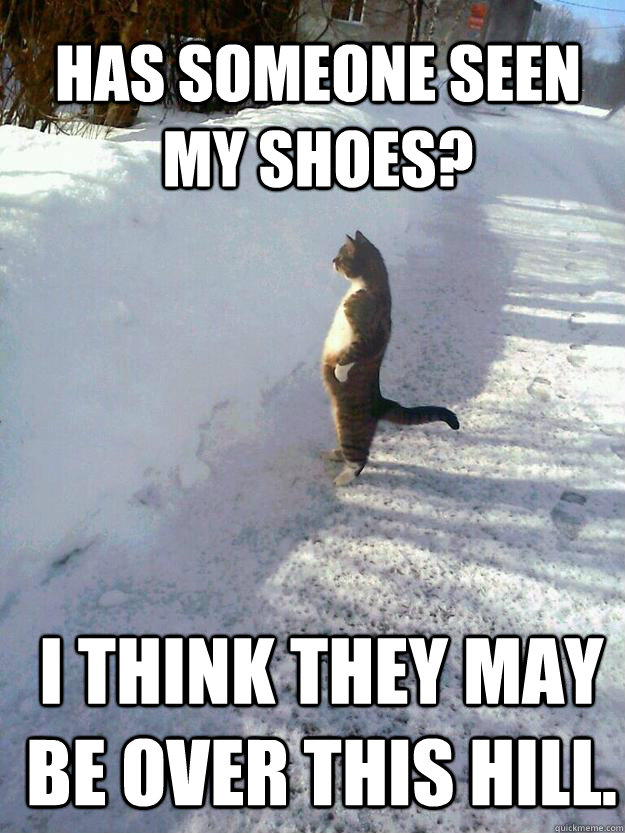 Has someone seen my shoes? I think they may be over this hill.  