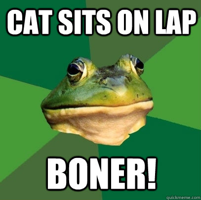 Cat sits on lap BONER!  Foul Bachelor Frog