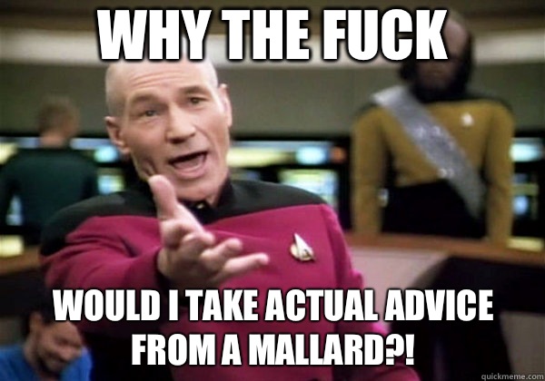 Why the fuck Would I take actual advice from a mallard?!  Why The Fuck Picard
