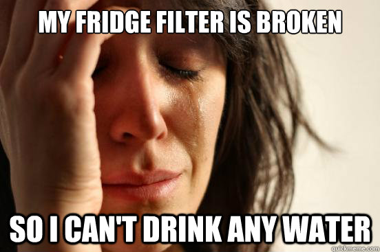 My Fridge Filter is Broken So I Can't Drink any Water  First World Problems