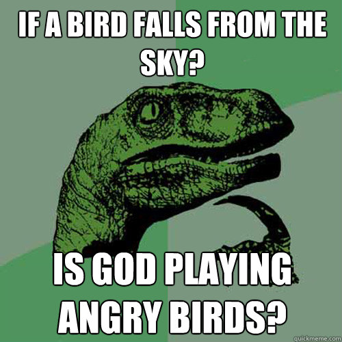 If a bird falls from the sky? Is God playing Angry Birds?  Philosoraptor